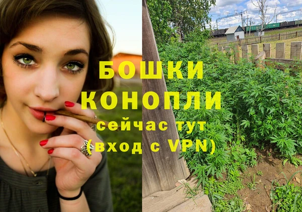 стафф Майский
