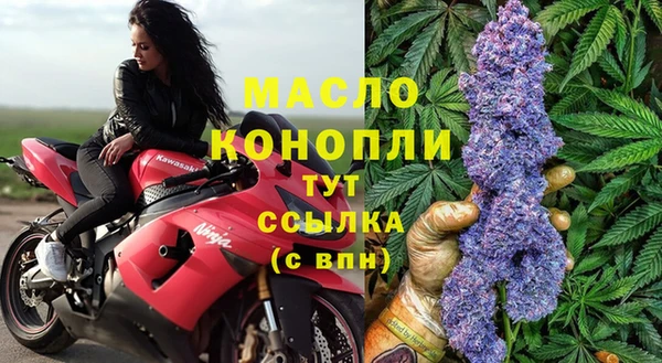 стафф Майский