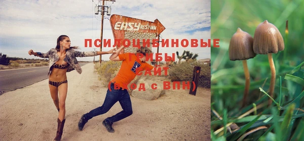 стафф Майский