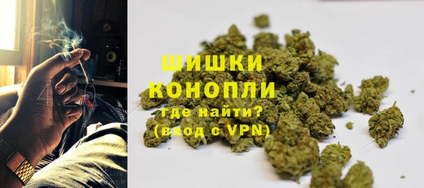 стафф Майский
