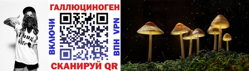 Галлюциногенные грибы прущие грибы  Уяр 
